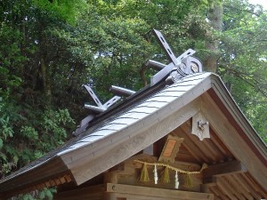 DSCF3471          