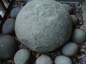 DSCF3509         